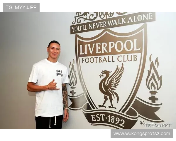 努涅斯转会费是否溢价 赛场表现与身价匹配度分析